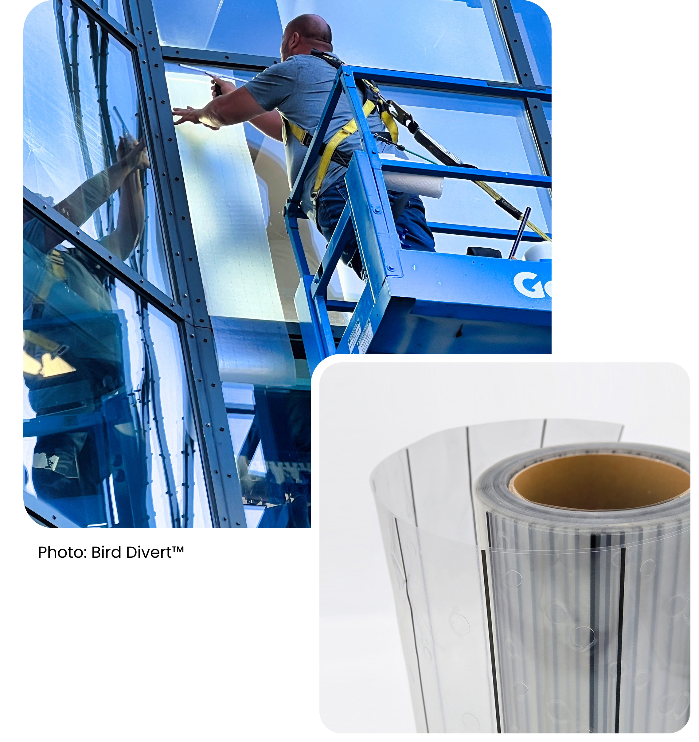 Why Choose Bird Divert Installation